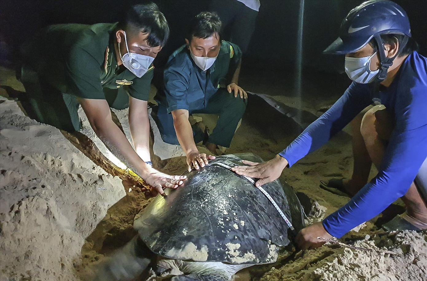 Anh Sáng (ngoài cùng bên phải) cùng lực lượng chức năng trong một lần hỗ trợ rùa đẻ Ảnh: NVCC