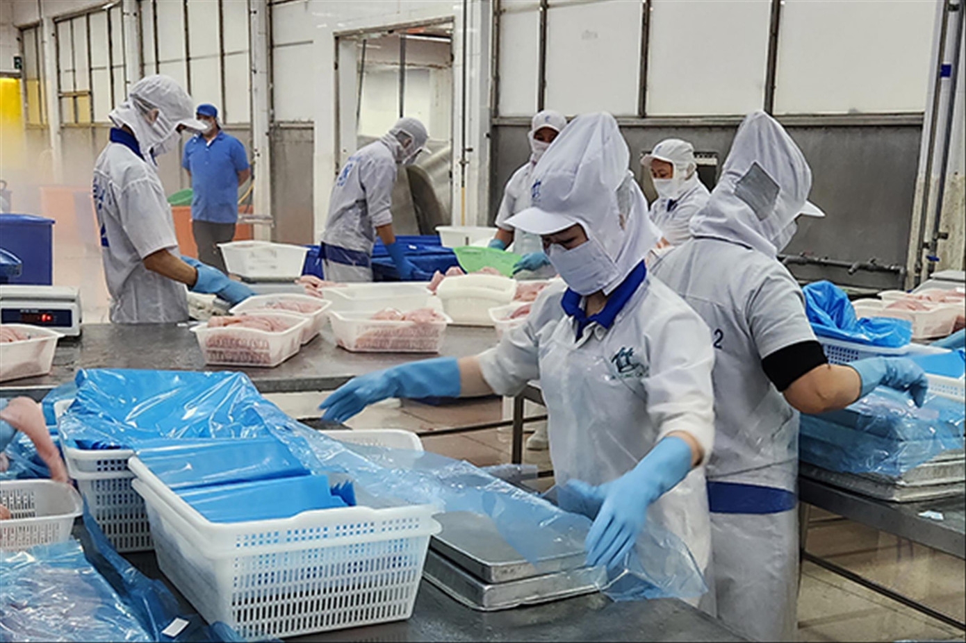 Theo dự báo, tình trạng căng thẳng ở Biển Đỏ có nguy cơ kéo dài ảnh hưởng đến thương mại toàn cầu