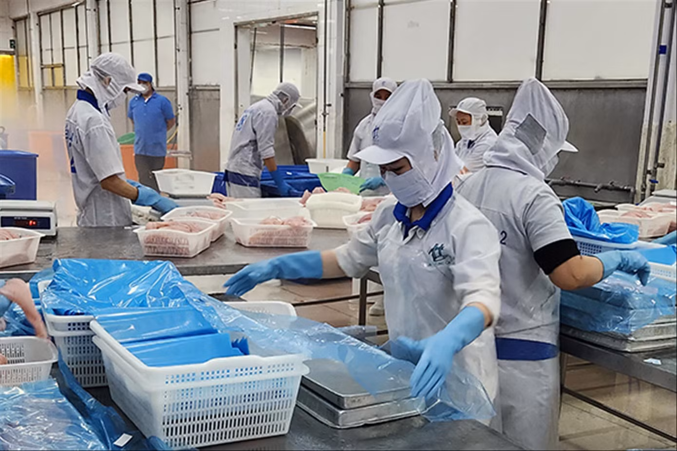 Theo dự báo, tình trạng căng thẳng ở Biển Đỏ có nguy cơ kéo dài ảnh hưởng đến thương mại toàn cầu
