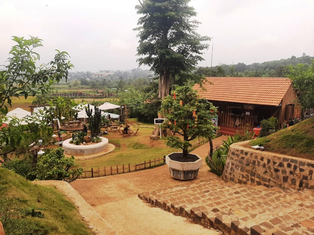 Quán cà phê Thông Farm &amp; Bistro bị yêu cầu tháo dỡ