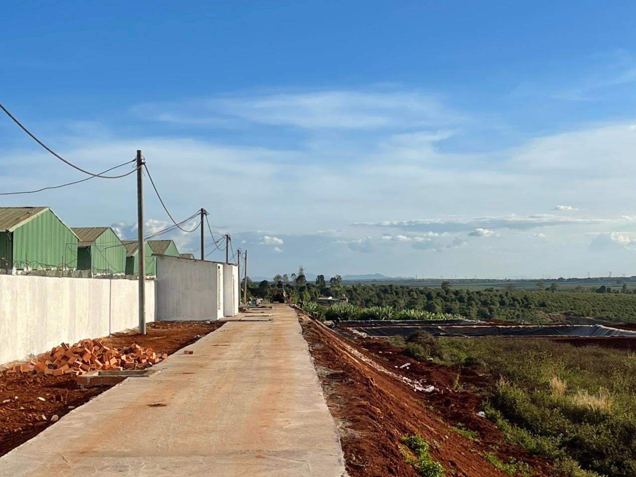 Công ty Cổ phần gia súc Lơ Pang làm trang trại chăn nuôi trên đất nông nghiệp