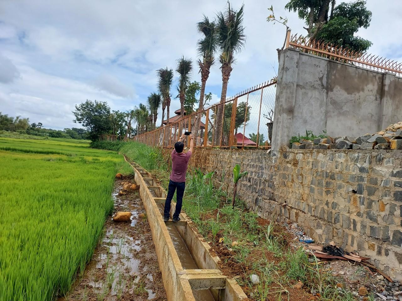 Tìm hiểu của Tiền Phong, trong Giấy chứng nhận quyền sử dụng đất (Giấy CNQSDĐ), người đứng tên là ông N.T.K (sinh năm 1979, trú tổ 7, phường Thắng Lợi, TP.Pleiku). Thửa đất có chiều dài 107,4 mét, chiều rộng là 22,19 mét. Công trình nằm trên thửa đất số 422, tờ bản đồ số 37, có diện tích 2.287,2m2 mục đích sử dụng là đất trồng cây lâu năm, thời hạn sử dụng đến tháng 10/2043.. Tìm hiểu của Tiền Phong, trong Giấy chứng nhận quyền sử dụng đất (Giấy CNQSDĐ), người đứng tên là ông N.T.K (sinh năm 1979, trú tổ 7, phường Thắng Lợi, TP.Pleiku). Thửa đất có chiều dài 107,4 mét, chiều rộng là 22,19 mét. Công trình nằm trên thửa đất số 422, tờ bản đồ số 37, có diện tích 2.287,2m2 mục đích sử dụng là đất trồng cây lâu năm, thời hạn sử dụng đến tháng 10/2043..