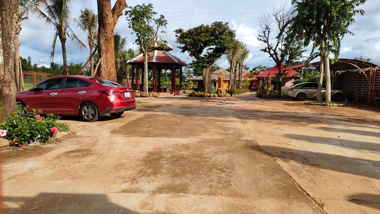 Trong căn biệt phủ này, khoảng sân bê tông được xây rất rộng. Nhiều cây cảnh cổ thụ, cao lớn được trồng ở khuôn viên để tạo cảnh và bóng mát. Hai căn nhà kiên cố kết hợp gỗ, bê tông và thép được dựng lên nguy nga, tráng lệ. Một căn lợp bằng ngói đỏ, căn còn lại lợp tôn. Ở sân vườn, còn xuất hiện hai căn nhà lục giác lớn, bao quanh là thảm cỏ được cắt tỉa gọn gàng. Trong sân lúc nào cũng xuất hiện 3-4 chiếc ô tô nằm dưới mái che bằng tôn. Trong căn biệt phủ này, khoảng sân bê tông được xây rất rộng. Nhiều cây cảnh cổ thụ, cao lớn được trồng ở khuôn viên để tạo cảnh và bóng mát. Hai căn nhà kiên cố kết hợp gỗ, bê tông và thép được dựng lên nguy nga, tráng lệ. Một căn lợp bằng ngói đỏ, căn còn lại lợp tôn. Ở sân vườn, còn xuất hiện hai căn nhà lục giác lớn, bao quanh là thảm cỏ được cắt tỉa gọn gàng. Trong sân lúc nào cũng xuất hiện 3-4 chiếc ô tô nằm dưới mái che bằng tôn.