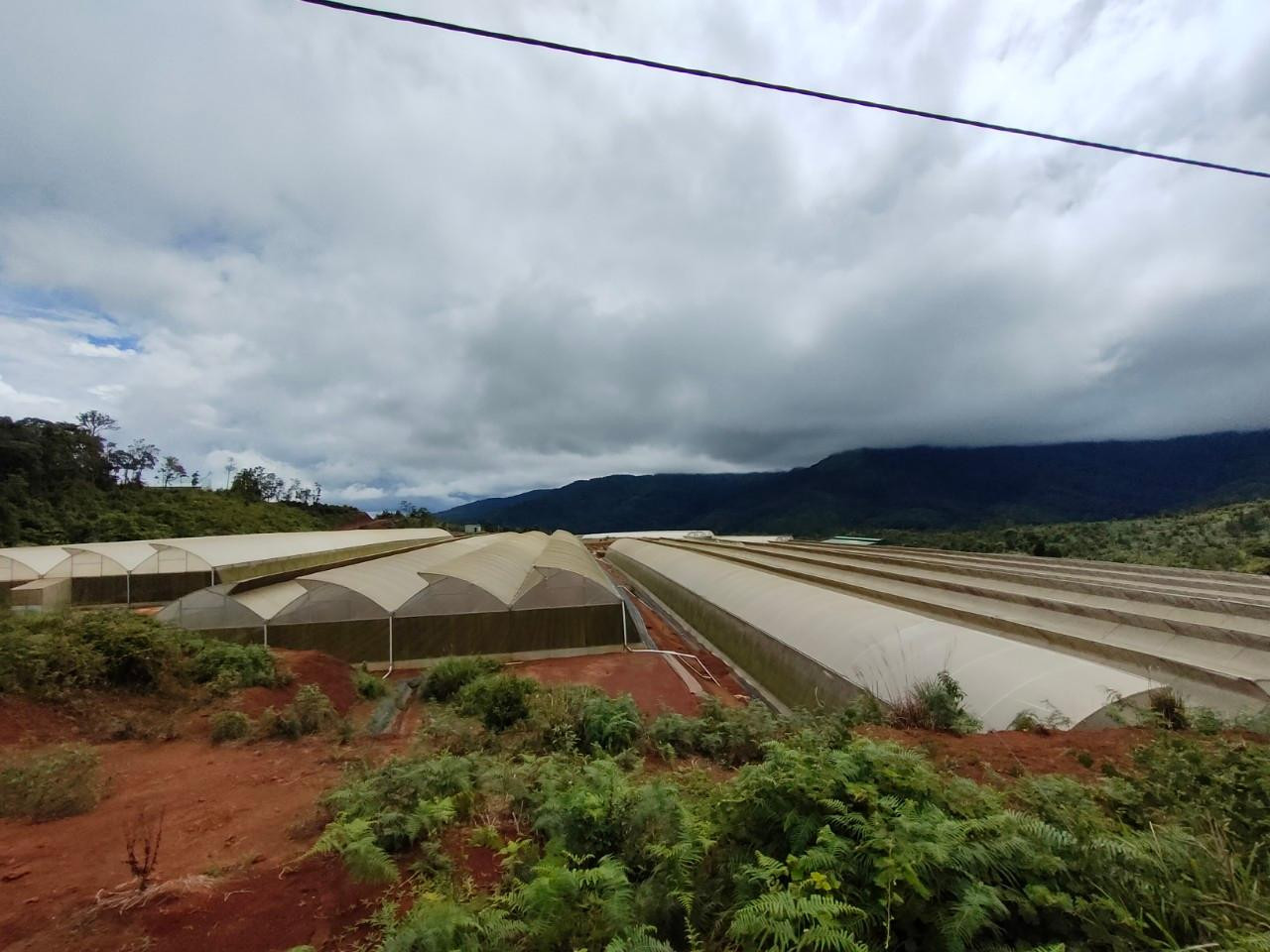 Nhiều dự án nông nghiệp ở huyện Kon Plông bị phát hiện có vi phạm