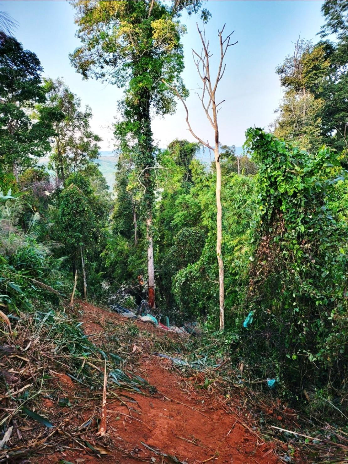 Khu vực đèo nơi chiếc xe gặp nạn