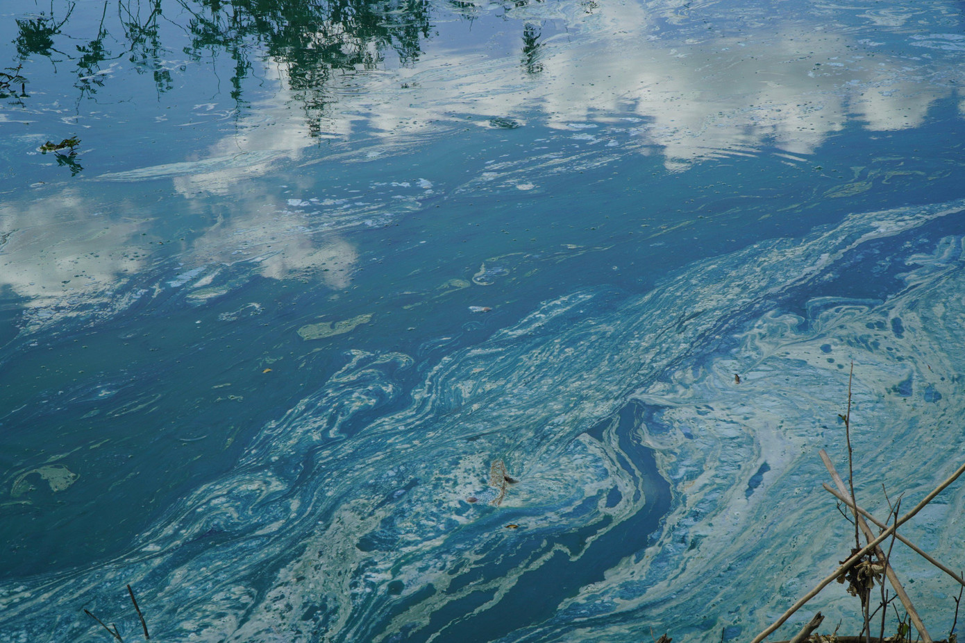 Nước bị nổi váng khiến người dân bất an. Nước bị nổi váng khiến người dân bất an.