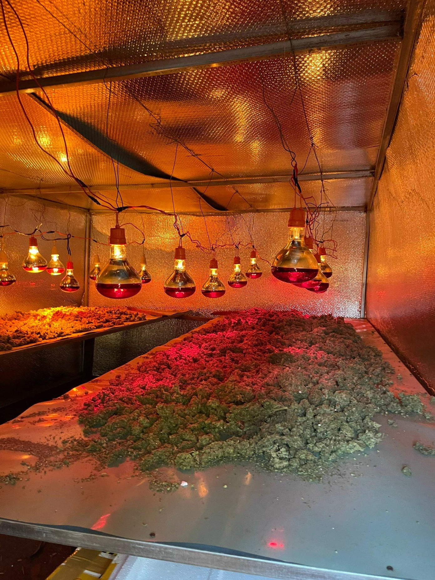 Căn chòi bằng gỗ trang bị thiết bị, đèn sấy cần sa bị công an triệt phá Căn chòi bằng gỗ trang bị thiết bị, đèn sấy cần sa bị công an triệt phá