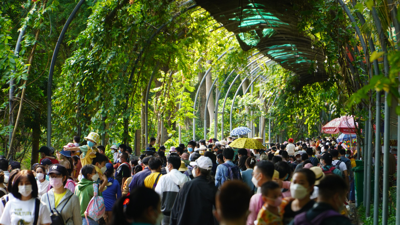 Đến khoảng 10h trưa, lượng người đến tham quan vườn thú ngày một đông.