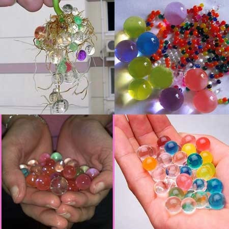 Hà thành sốt đất ‘kim cương’ sắc màu trồng cây cảnh ảnh 1