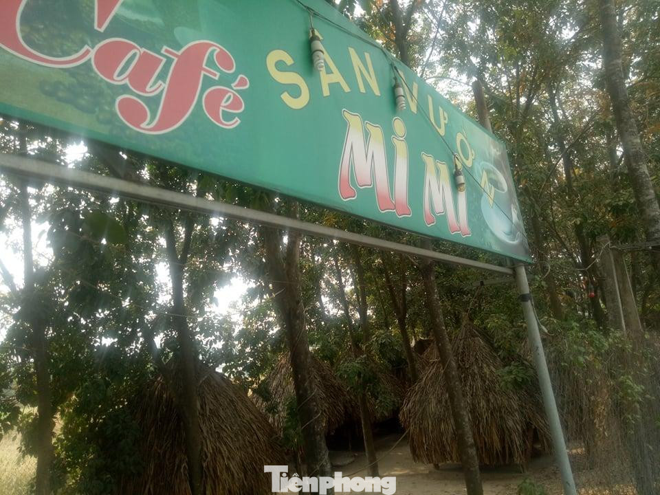 Quán cà phê chòi bên đường Mỹ Phước Tân Vạn (phường Phú Lợi, TP Thủ Dầu Một) xây trái phép trên đất nông nghiệp