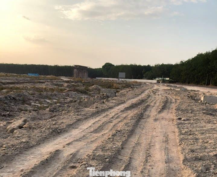 Xung quanh dự án hầu hết là đất trồng cây cao su Xung quanh dự án hầu hết là đất trồng cây cao su