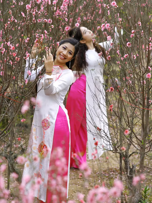 Thiếu nữ với hoa đào. Ảnh: Hồng Vĩnh