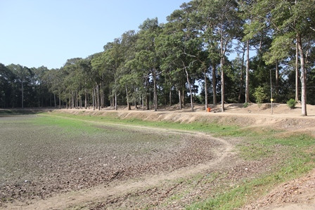 ĐBSCL: Đất nứt nẻ, lúa chết khô do hạn, mặn lịch sử ảnh 1