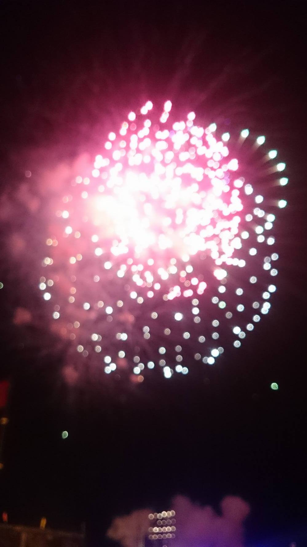 Cả nước tưng bừng đón năm mới Bính Thân 2016 ảnh 2