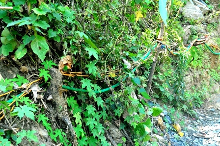 Vụ ngạt khí làm 4 người tử vong: Địa phương không biết là khai thác gì!? ảnh 5