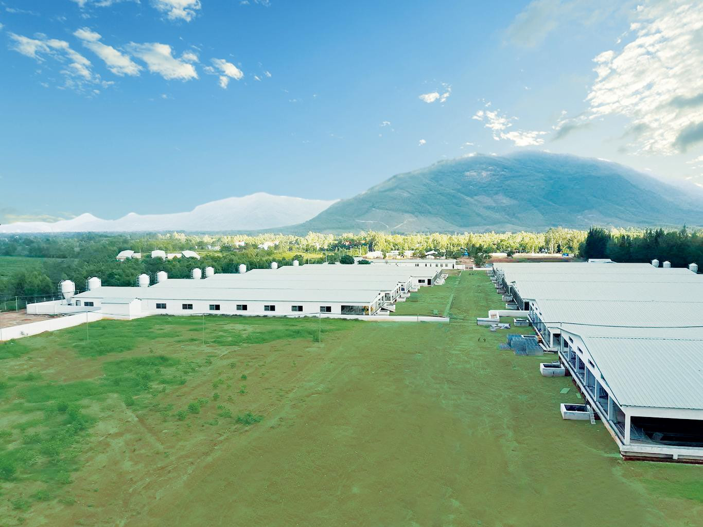 Tập đoàn Mavin là một trong những doanh nghiệp tiên phong về số hoá trong lĩnh vực nông nghiệp tại Việt Nam. Tập đoàn Mavin là một trong những doanh nghiệp tiên phong về số hoá trong lĩnh vực nông nghiệp tại Việt Nam.