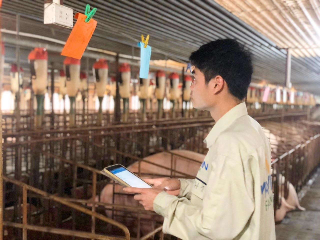 Mavin là doanh nghiệp đầu tiên tại Việt Nam cũng như trong khu vực Đông Nam Á tiên phong và quyết tâm ứng dụng ERP cho ngành chăn nuôi heo. Mavin là doanh nghiệp đầu tiên tại Việt Nam cũng như trong khu vực Đông Nam Á tiên phong và quyết tâm ứng dụng ERP cho ngành chăn nuôi heo.