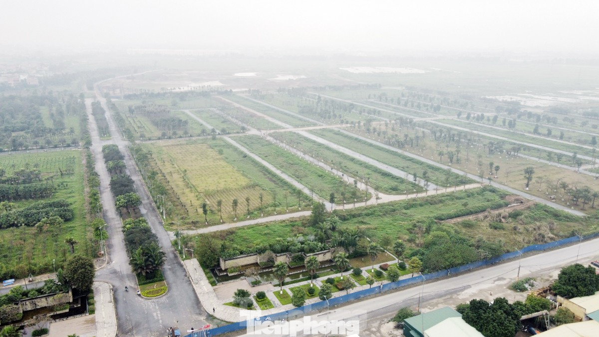 HoREA đề nghị phân biệt rõ giữa đấu thầu và đấu giá.