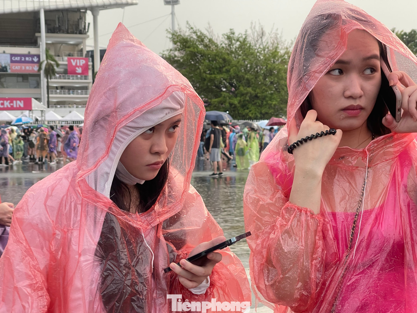 Sự cuồng nhiệt của người hâm mộ Việt là điều khiến báo Hàn bất ngờ nhất.