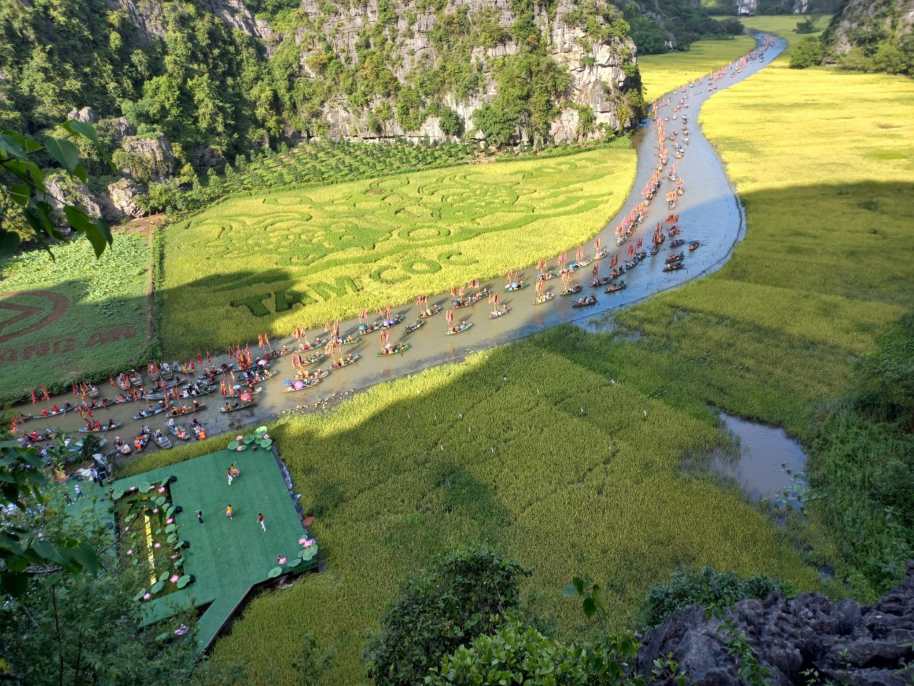 Như dải lụa vàng bên dòng sông Ngô Đồng. Như dải lụa vàng bên dòng sông Ngô Đồng.