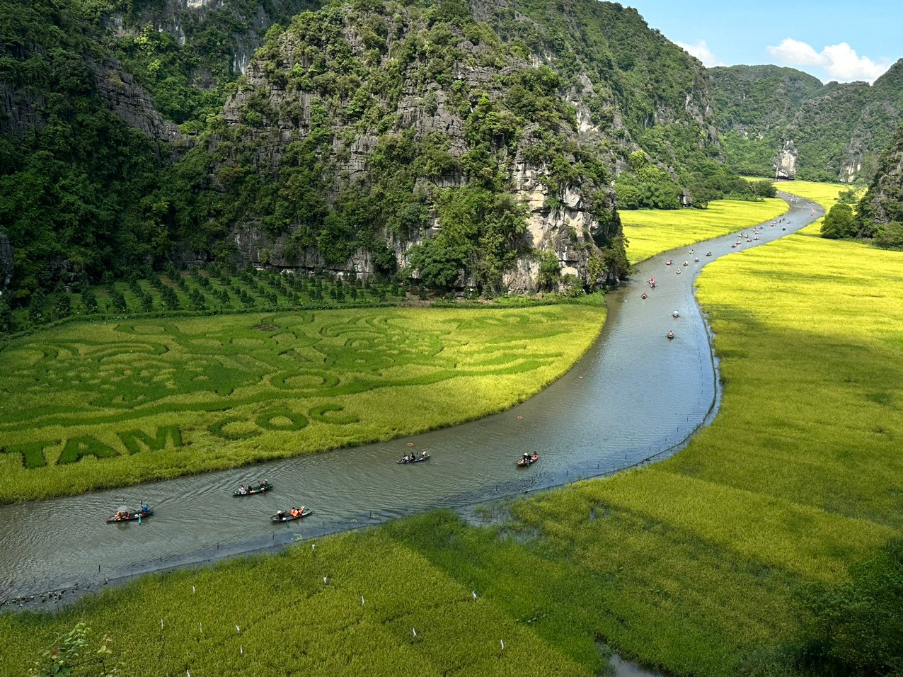 Khoảnh khắc đẹp như tranh vẽ trên dòng sông Ngô Đồng. Khoảnh khắc đẹp như tranh vẽ trên dòng sông Ngô Đồng.