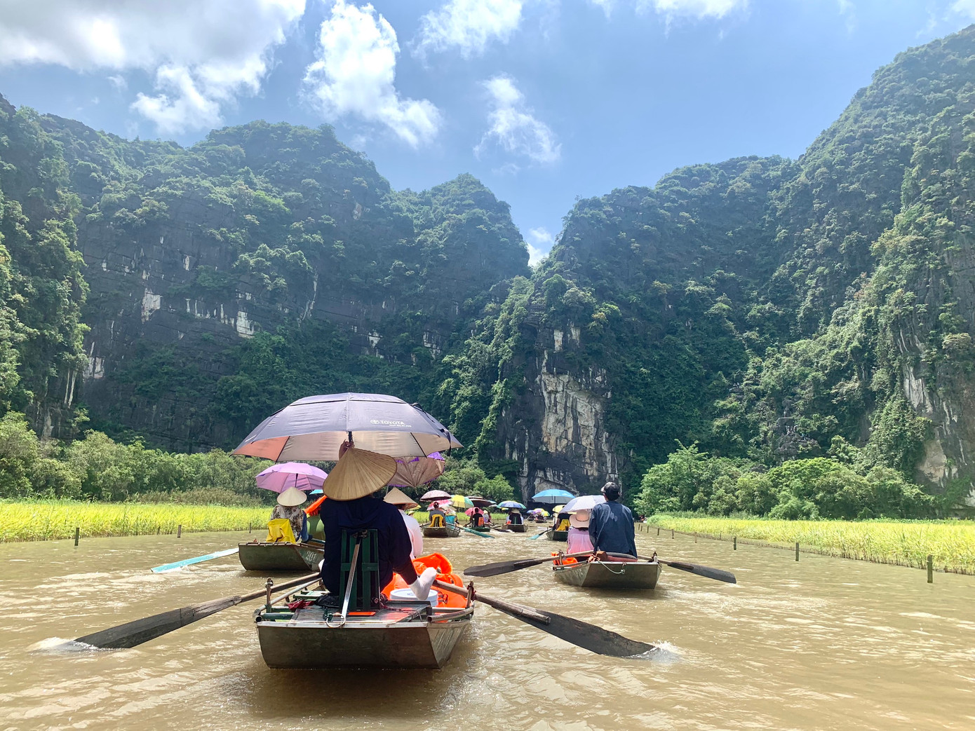 Du khách mê mẩn với cánh đồng lúa trải dài như dải lụa vàng.