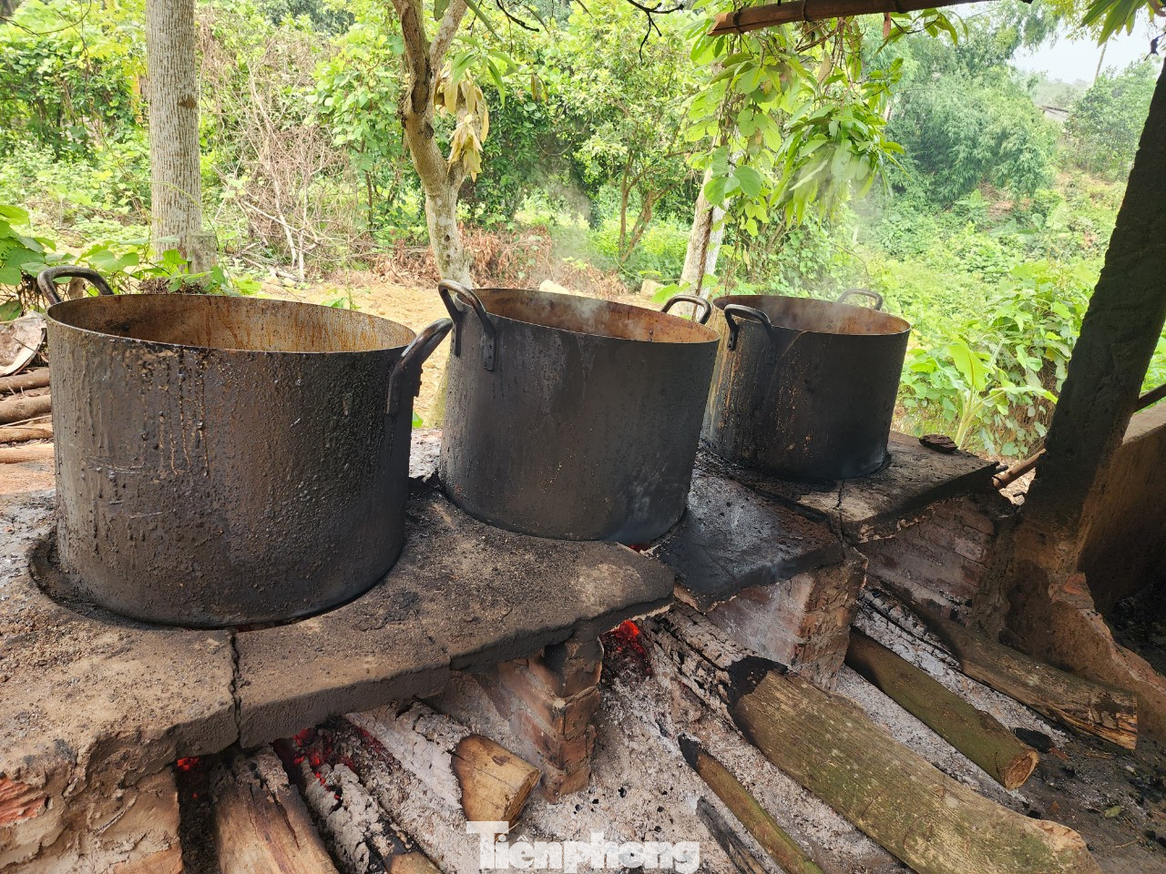 Người Dao ở Hợp Sơn nấu cao từ những dược phẩm quý của núi rừng Ba Vì