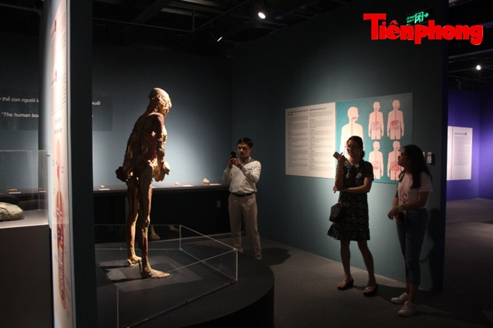 Triển lãm xác người ở TPHCM: Về phương diện y khoa thì rất ý nghĩa ảnh 1