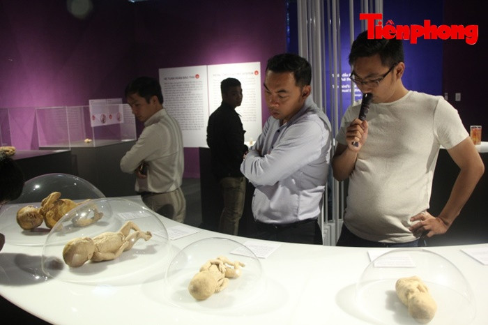 Triển lãm xác người ở TPHCM: Về phương diện y khoa thì rất ý nghĩa ảnh 6