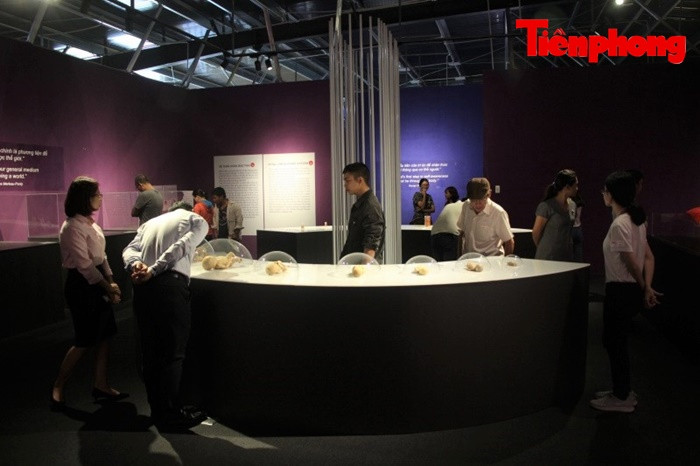 Triển lãm xác người ở TPHCM: Về phương diện y khoa thì rất ý nghĩa ảnh 8