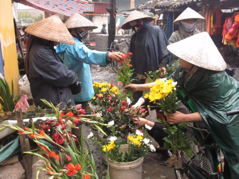 Những hàng hoa rực rỡ ngày tết