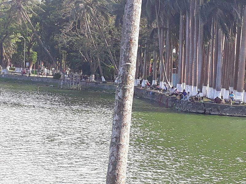 Ngày nghỉ nhưng lượng người đến Công viên 29-3 vui chơi khá ít ỏi. Đa số mọi người tập trung gần hồ nước để hóng mát, câu cá, tản bộ,... (Ảnh: Nhật Trinh) Ngày nghỉ nhưng lượng người đến Công viên 29-3 vui chơi khá ít ỏi. Đa số mọi người tập trung gần hồ nước để hóng mát, câu cá, tản bộ,... (Ảnh: Nhật Trinh)