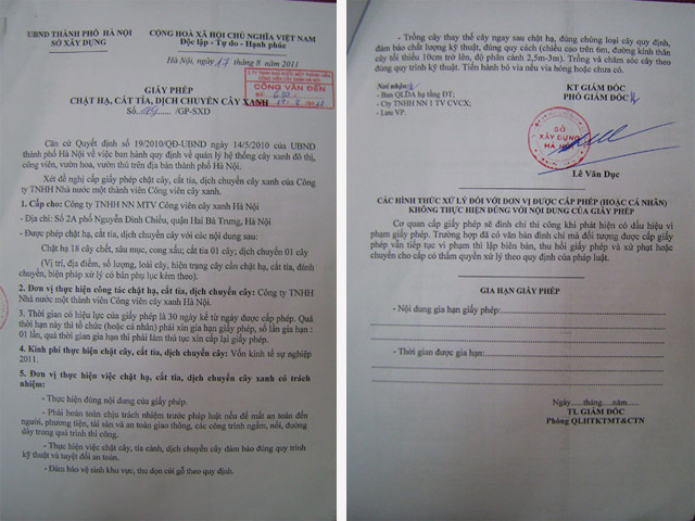  Giấy phép chặt hạ những cây xanh chết khô hoặc gây nguy hiểm cho người dân được Sở Xây dựng cấp ngày 17-8 và nó giá trị trong vòng 30 ngày