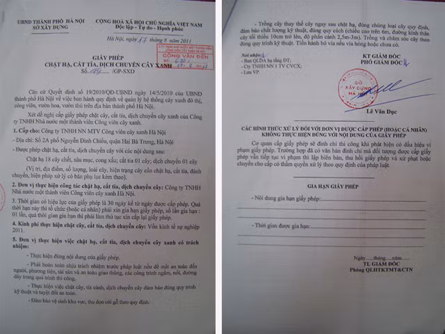  Giấy phép chặt hạ những cây xanh chết khô hoặc gây nguy hiểm cho người dân được Sở Xây dựng cấp ngày 17-8 và nó giá trị trong vòng 30 ngày