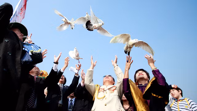 Ngắm 'Cầu rồng kể chuyện ngàn năm' ảnh 3