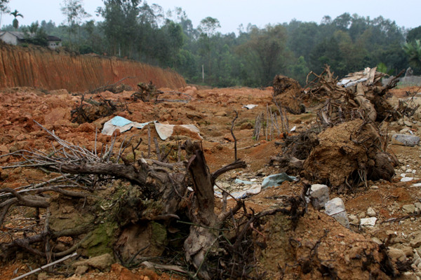 Ảnh tàn phá di tích Đền Hùng ảnh 4