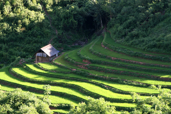 Ngồi nhà sản bên cánh đồng ruộng bậc thang tại Mường Nhé (Điện Biên)