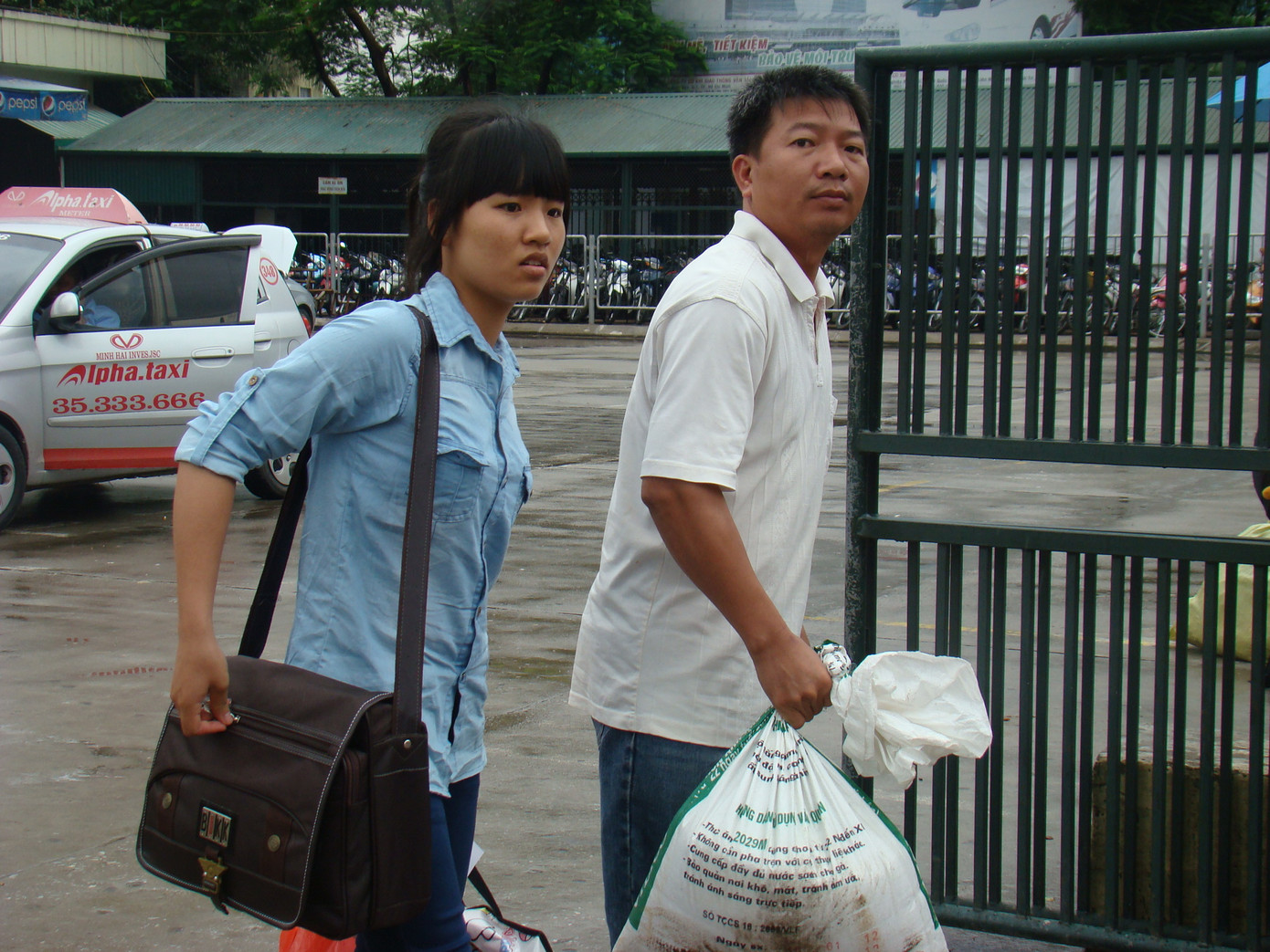 Bố và con cùng mang tải gạo đi thi