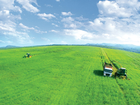 Công nghệ chăn nuôi hiện đại nhất thế giới đã được áp dụng tại trang trại TH. Công nghệ chăn nuôi hiện đại nhất thế giới đã được áp dụng tại trang trại TH