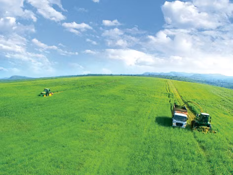 Công nghệ chăn nuôi hiện đại nhất thế giới đã được áp dụng tại trang trại TH