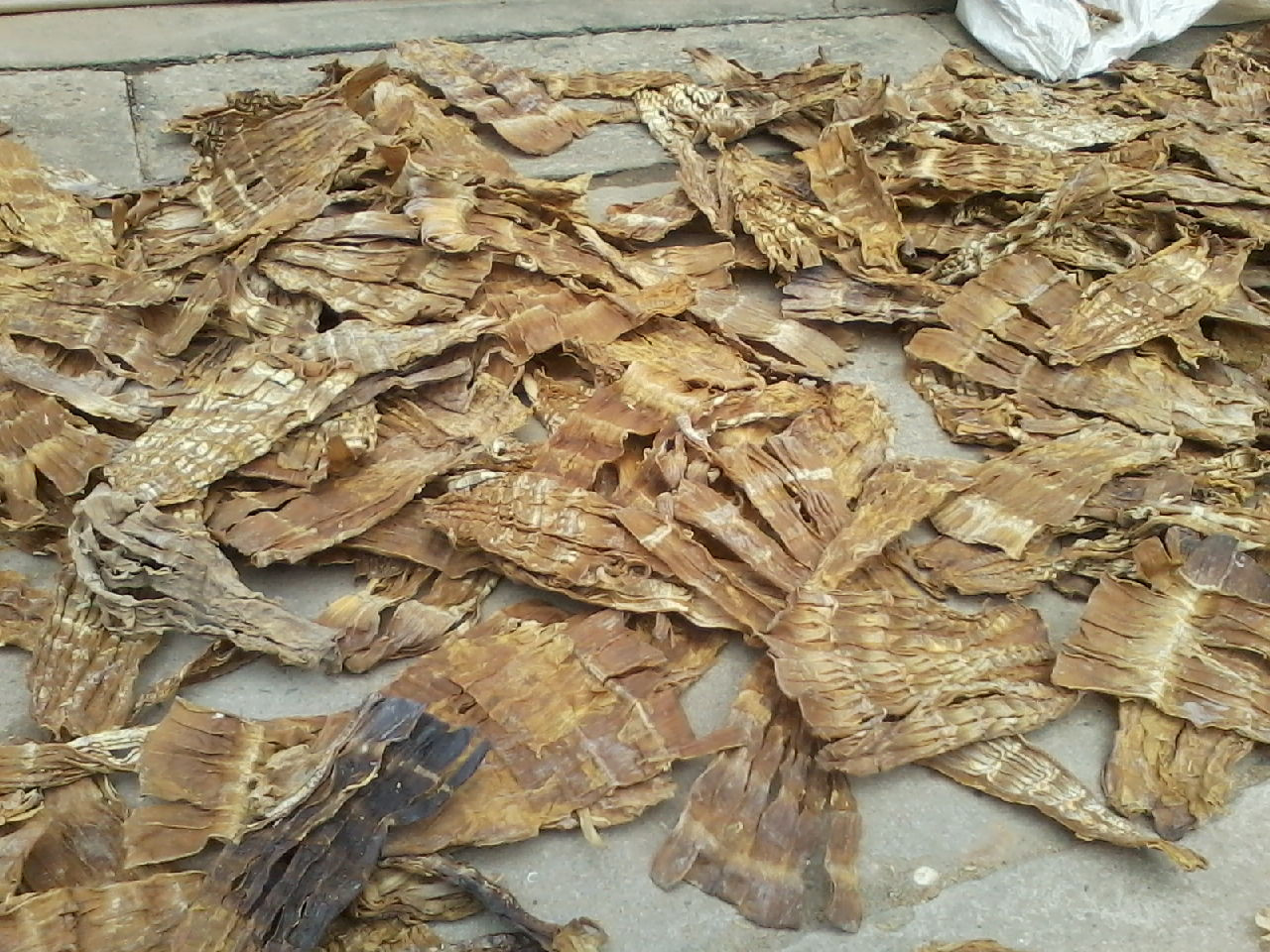 Măng khô tại xã Xuân Bái, huyện Thọ Xuân, Thanh Hóa