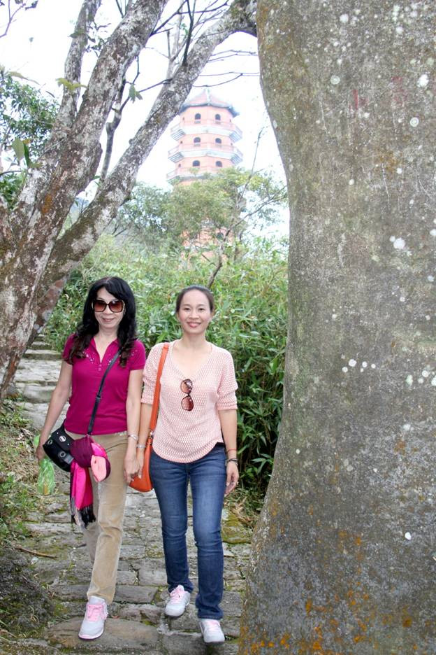 Không chỉ có dốc cao dựng đứng, Yên tử còn có những đoạn đường bằng phẳng, khách hành hương có thể thong dong giữa nừng trúc là đá chen nhau