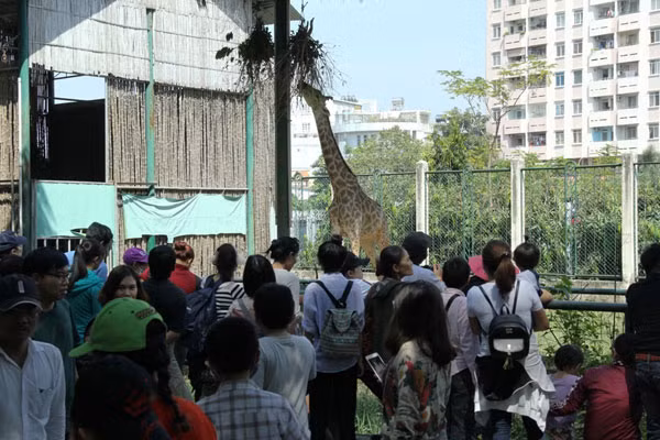 'Biển người' nêm chặt các khu vui chơi ở TPHCM ngày Tết dương lịch ảnh 2