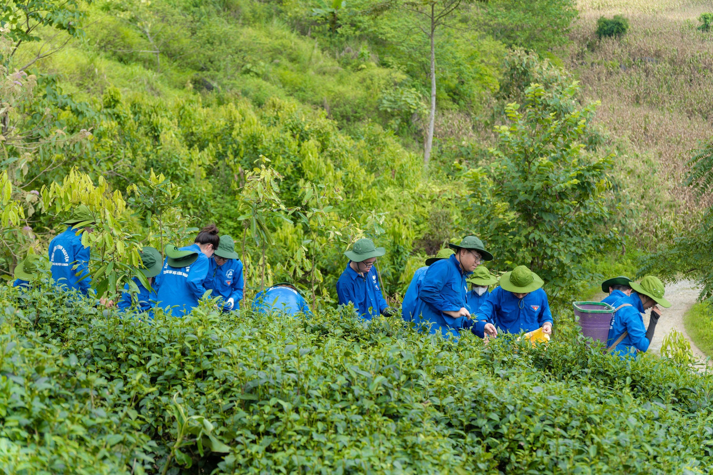 Các chiến sĩ tình nguyện Mùa hè xanh thực hiện các công trình, phần việc ý nghĩa tại Mường Khương, Lào Cai