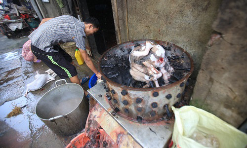 Nơi giết mổ hàng trăm con chó mỗi ngày ở Hà Nội ảnh 1