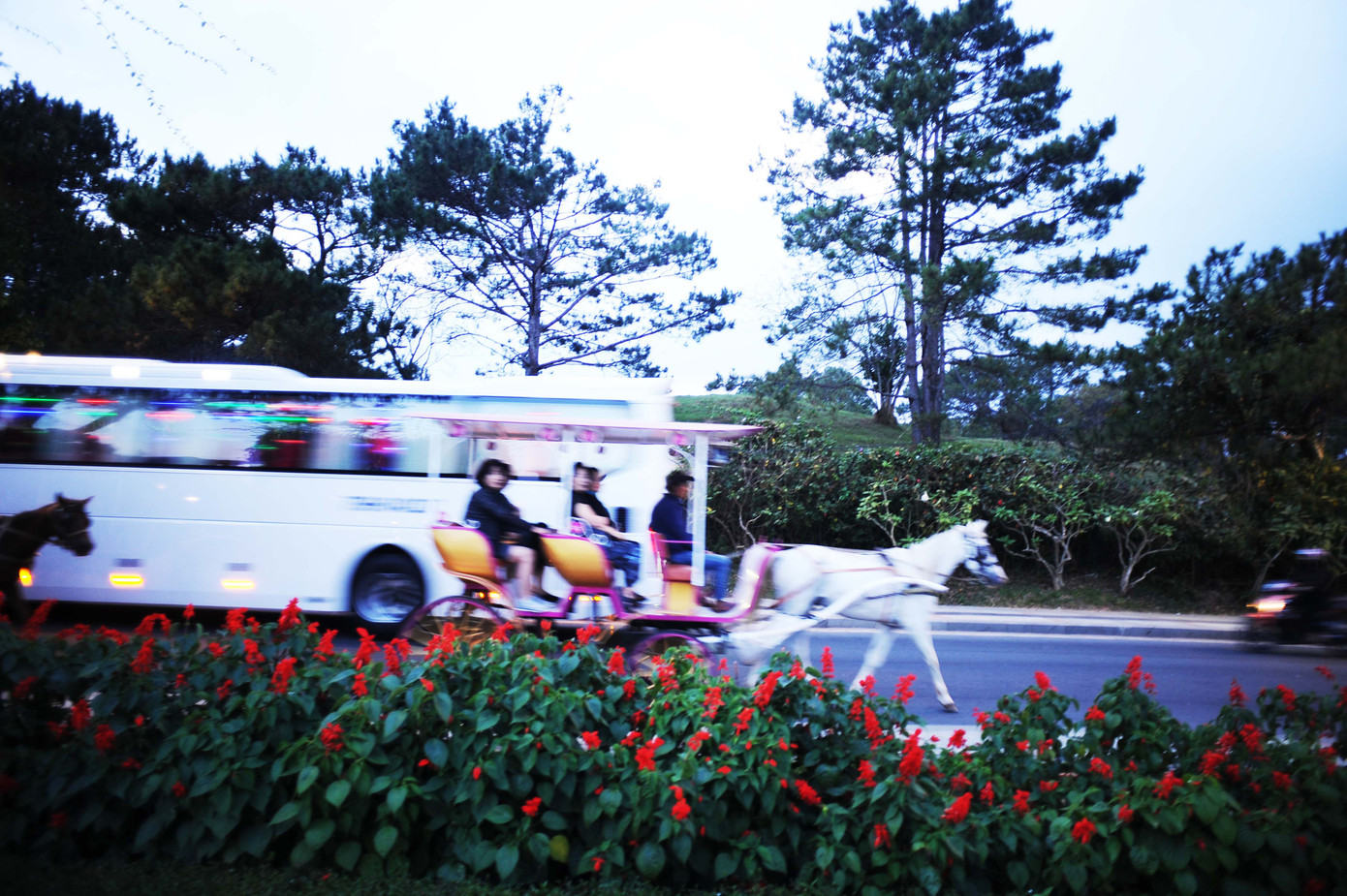 Đà Lạt hoàng hôn giờ đây không còn vắng vẻ mà thấp thoáng những chuyến xe ngựa qua lại