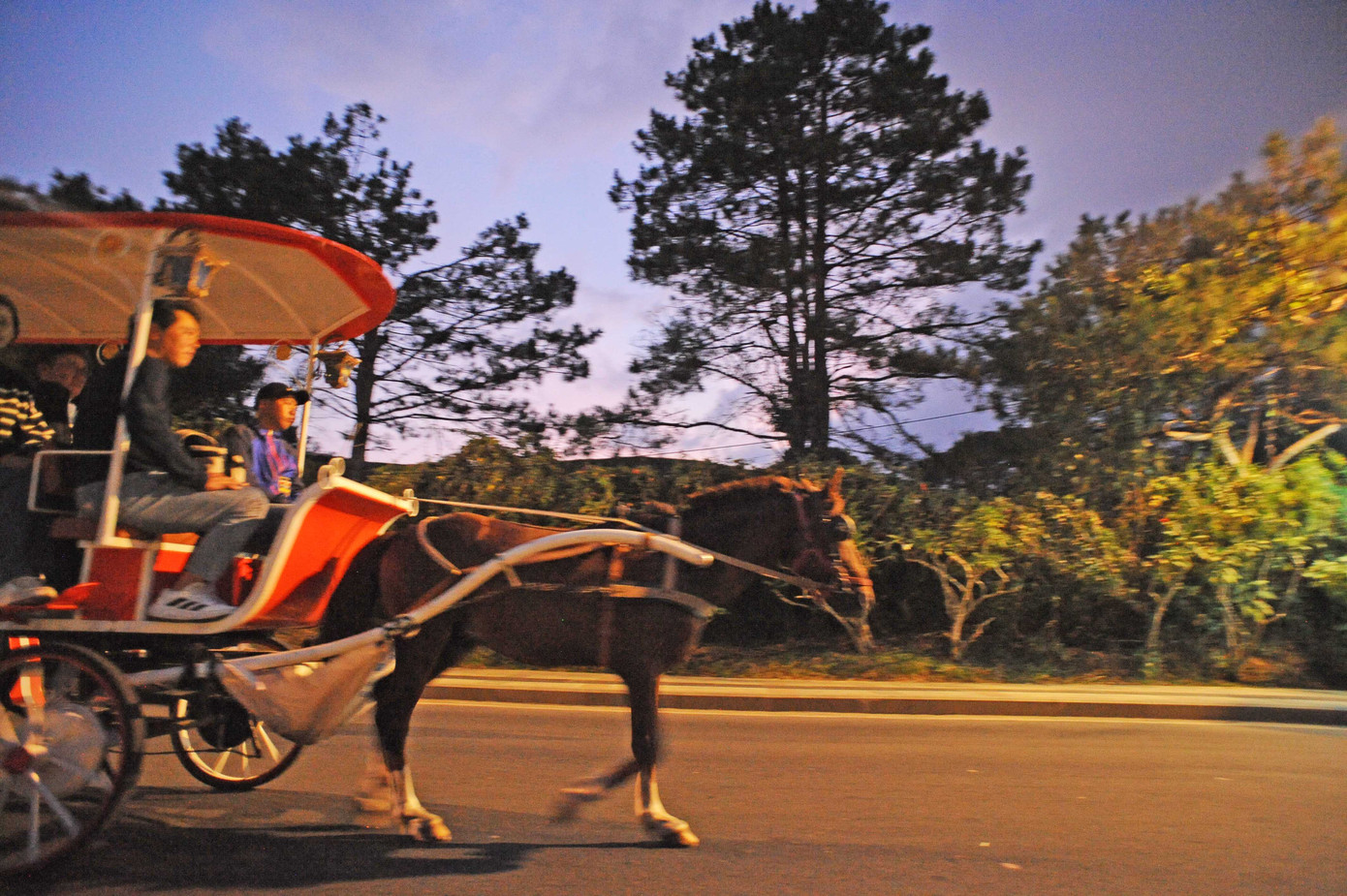 Du khách đặc biệt thích đi xe ngựa buổi tối để ngắm Đà Lạt hoàng hôn