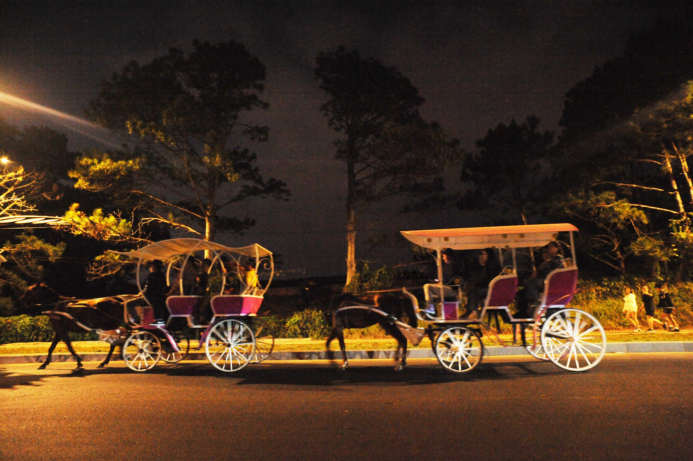 Những ngày Tết Nguyên Đán, khách du lịch đến Đà Lạt rất đông và nhiều người hài lòng khi trải nghiệm cảnh đi xe ngựa ngắm hoàng hôn quanh hồ Xuân Hương.
