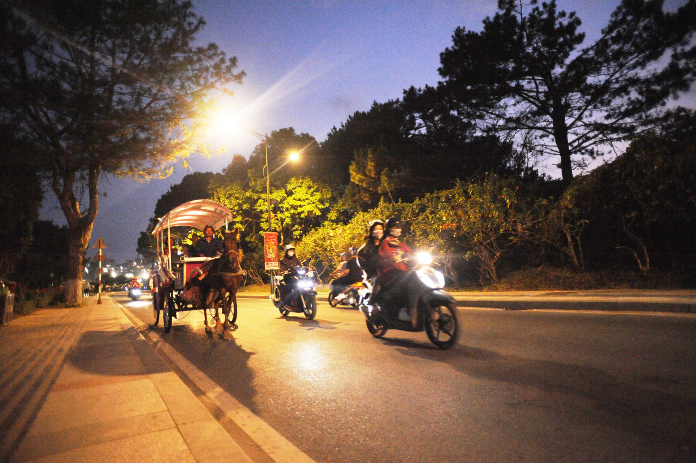 Hơn hai chục chiếc xe ngựa miệt mài phục vụ hết công suất