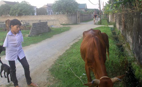 Nghị lực của cậu học học trò thiếu hai cánh tay ảnh 1